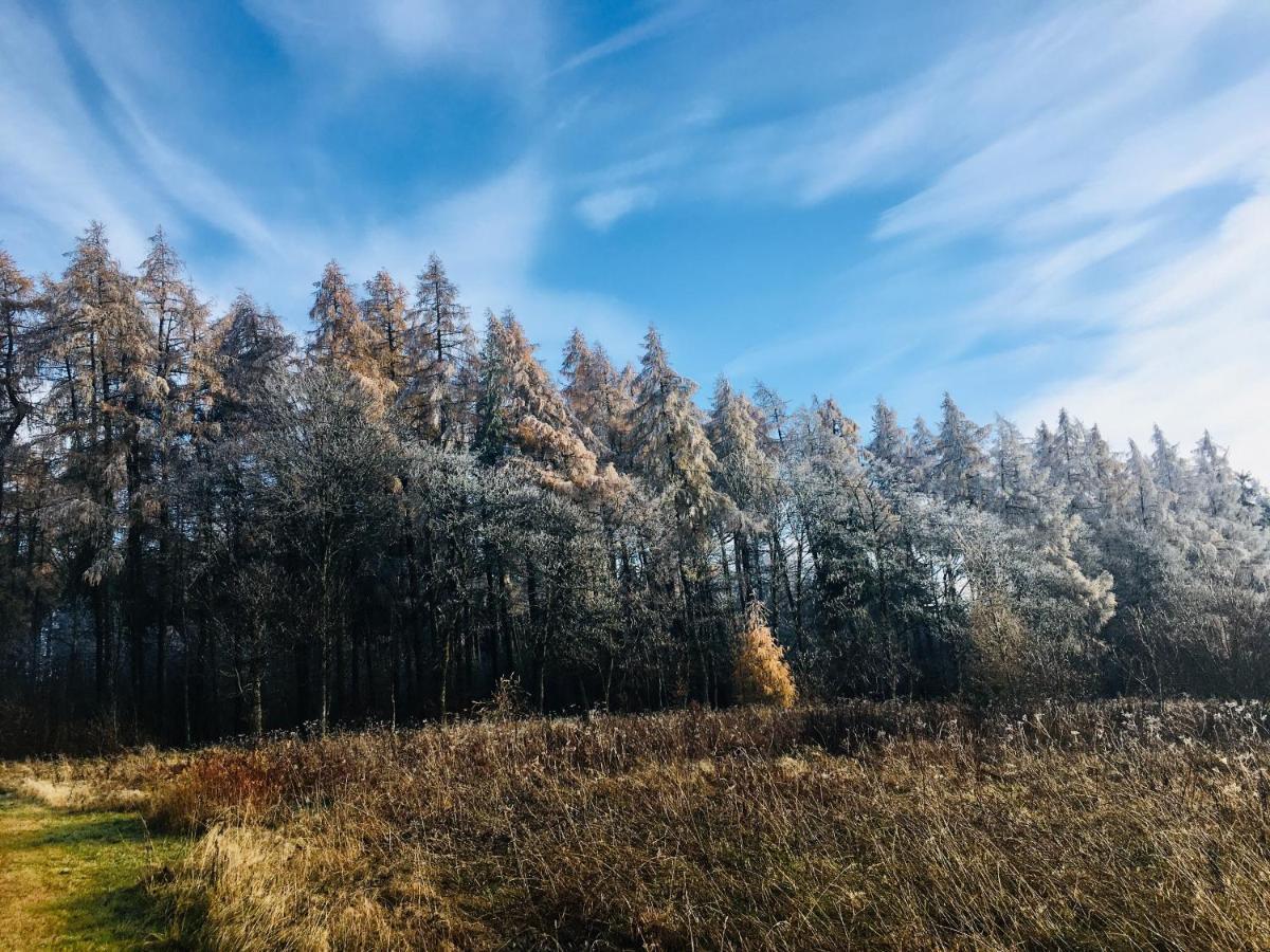 Gaestehaus Hohetanne1 Grossbreitenbach Exteriör bild