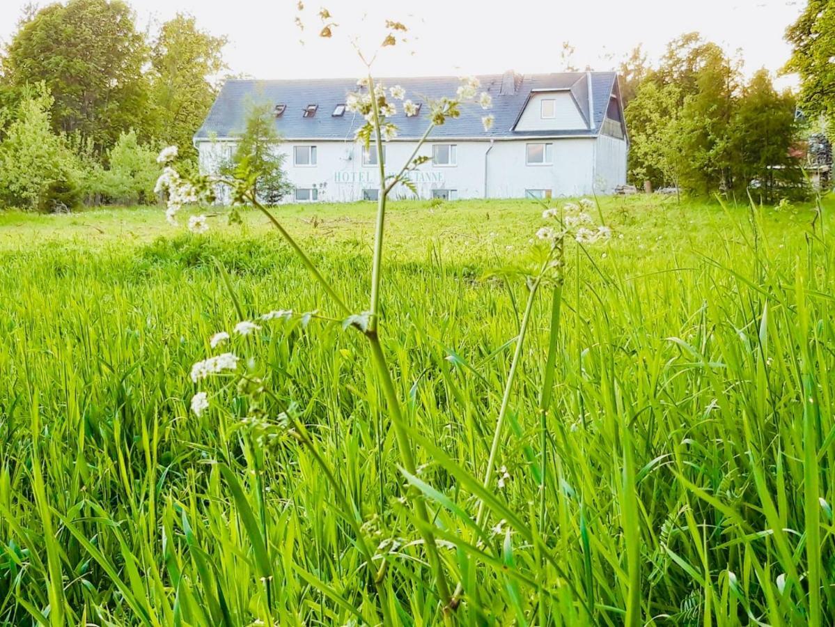 Gaestehaus Hohetanne1 Grossbreitenbach Exteriör bild