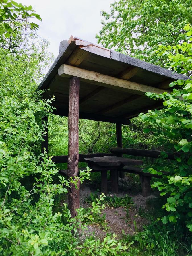Gaestehaus Hohetanne1 Grossbreitenbach Exteriör bild
