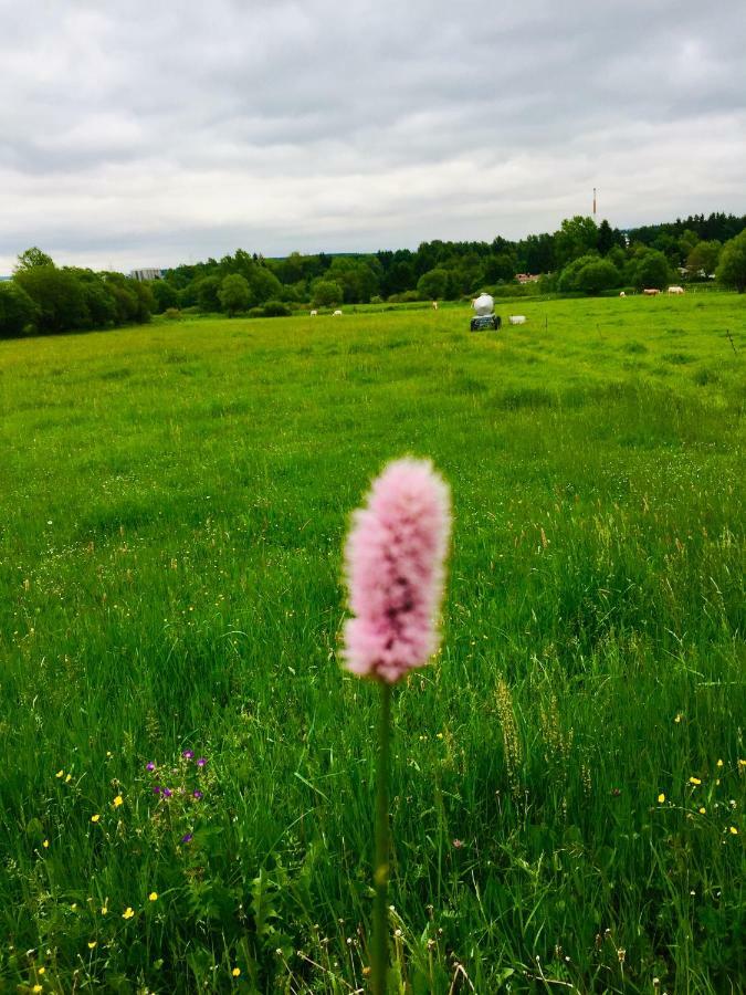 Gaestehaus Hohetanne1 Grossbreitenbach Exteriör bild