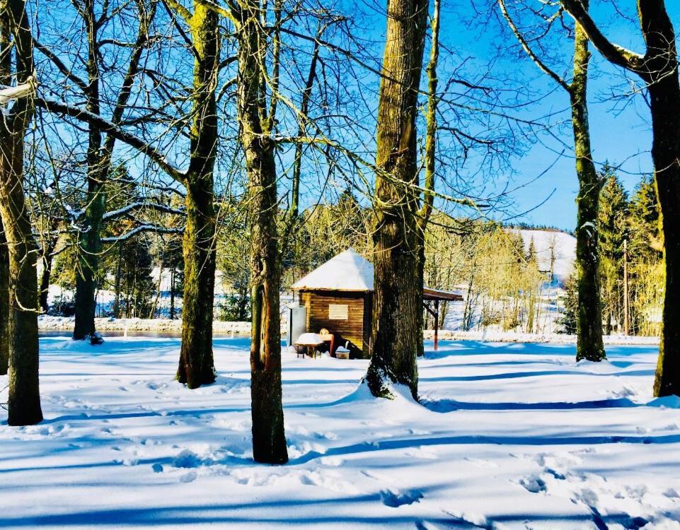 Gaestehaus Hohetanne1 Grossbreitenbach Exteriör bild