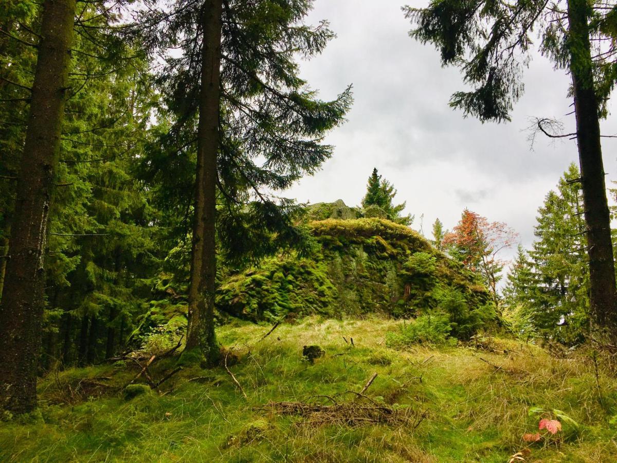 Gaestehaus Hohetanne1 Grossbreitenbach Exteriör bild